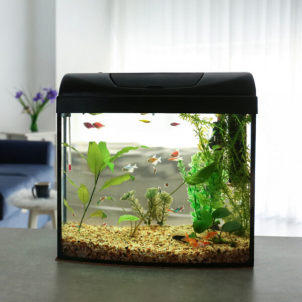 Aquarium Product 2