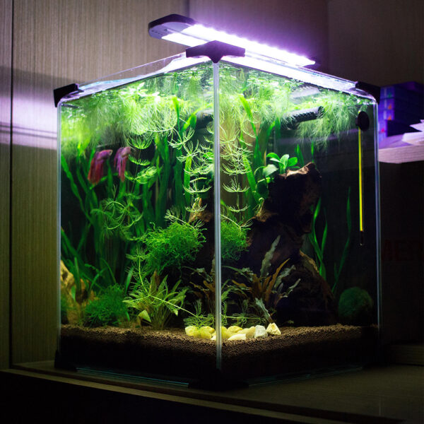 Aquarium Product 4