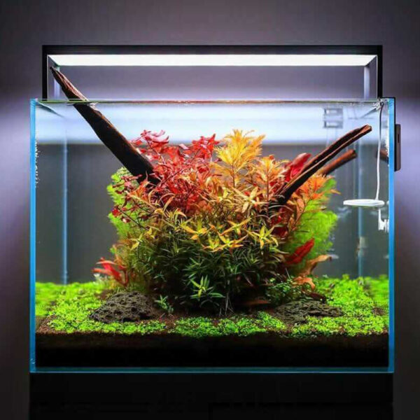 Aquarium Product 6